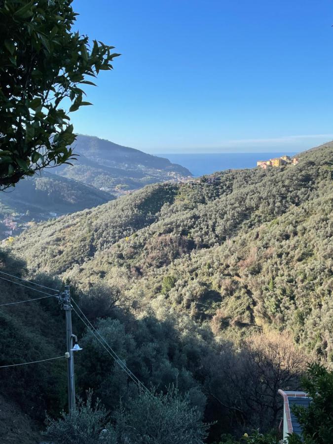 Le Case Di Petra Vignana Εξωτερικό φωτογραφία